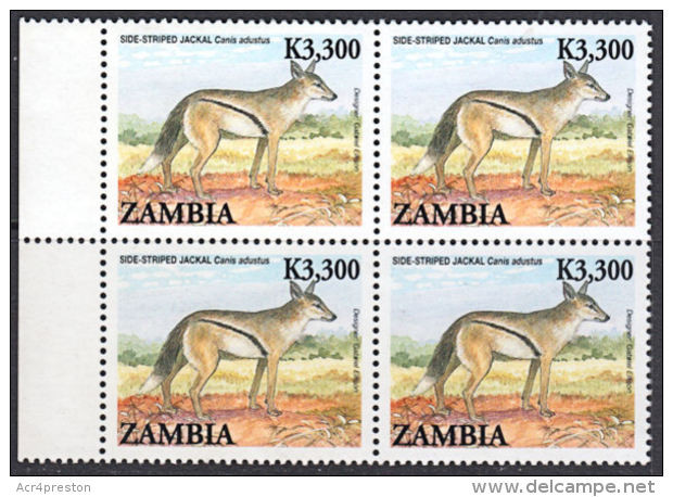 D0292 ZAMBIA 2007, SG 1037 Side-striped Jackal  MNH Marginal Block Of 4 - Zambie (1965-...)