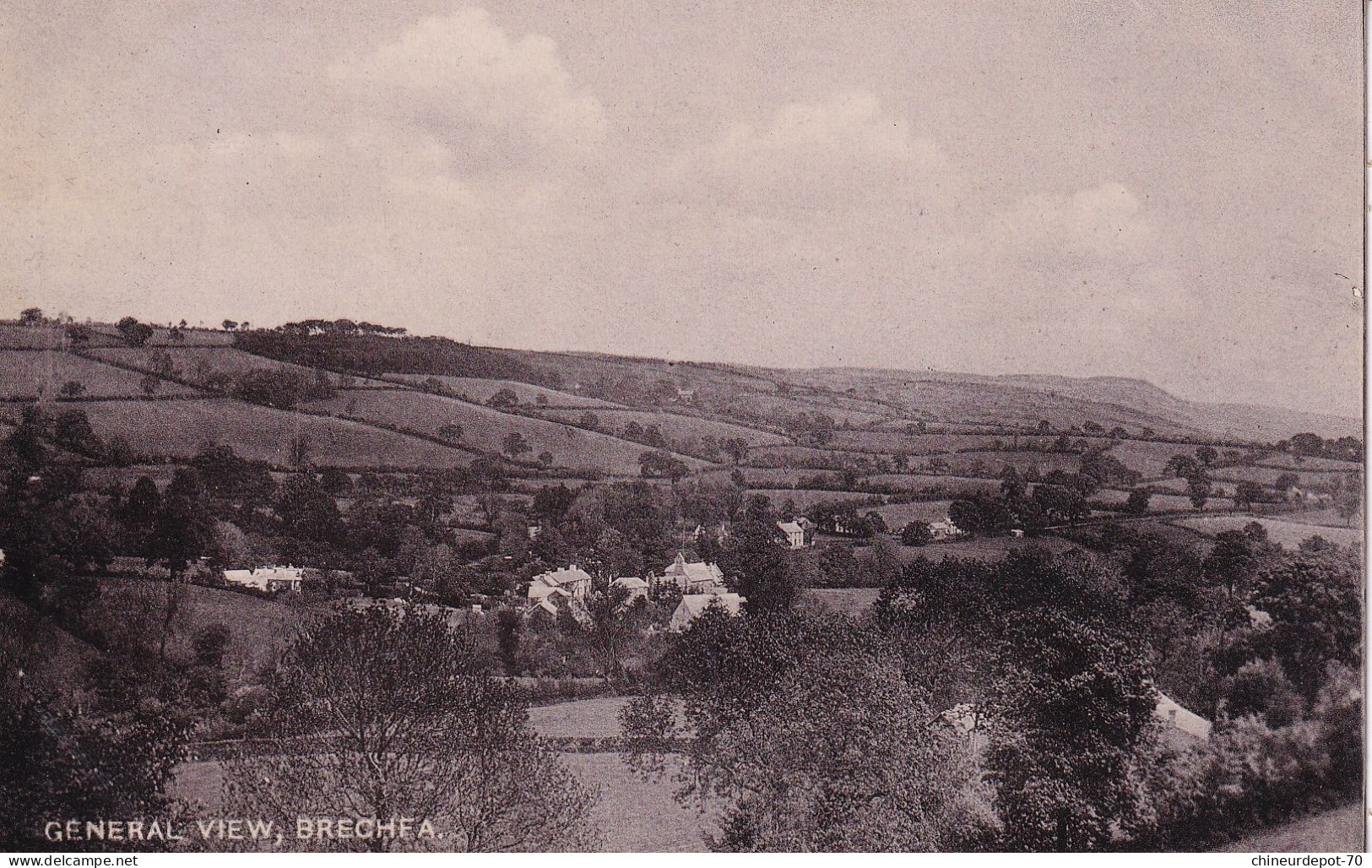 Vue Générale Brechfa - Carmarthenshire