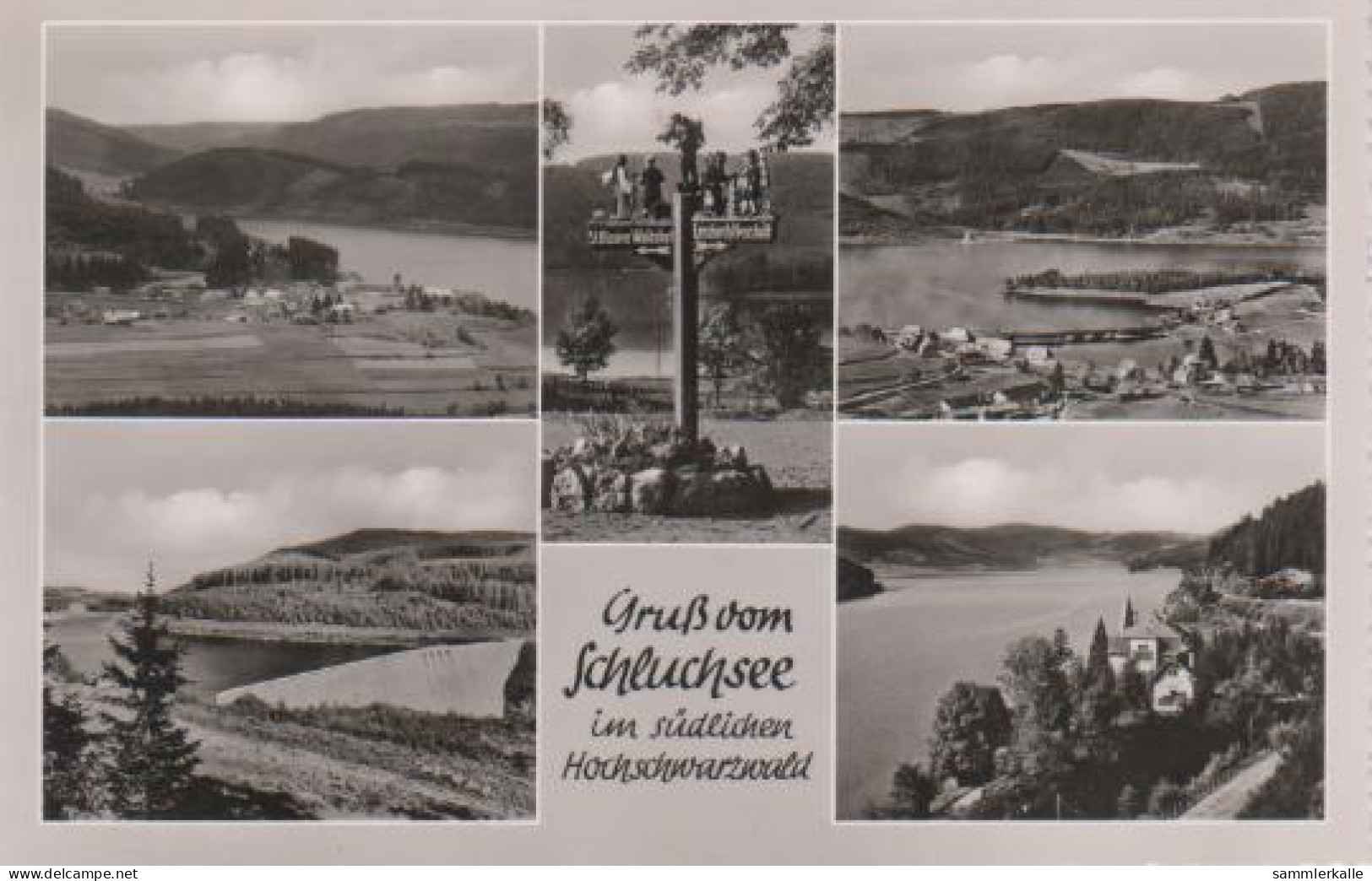 8597 - Gruss Vom Schluchsee - 1956 - Schluchsee