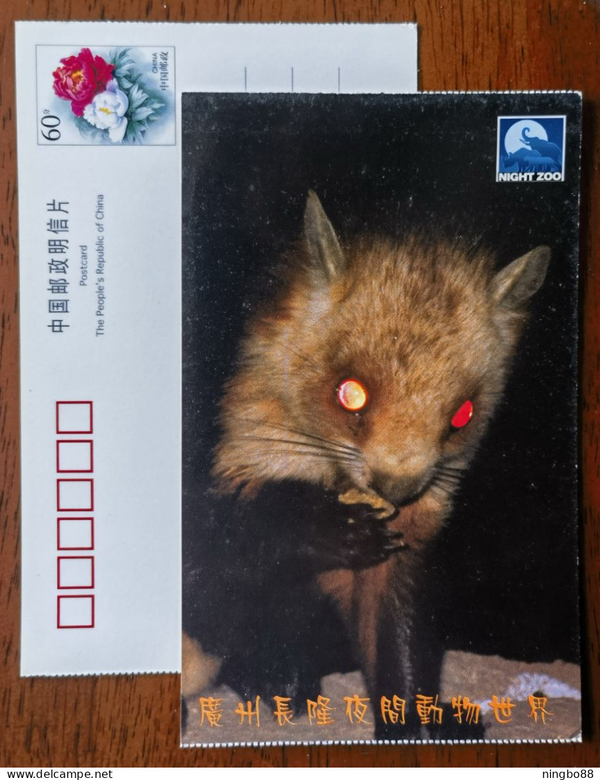 Chinese Flying Squirrel,China 2001 Guangzhou Changlong Night Zoo Advertising Pre-stamped Card - Knaagdieren