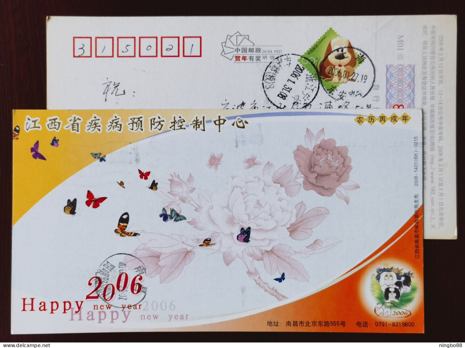 Butterfly & Peony Flower,China 2006 Jiangxi Provincial Center For Disease Prevention And Control Advert Pre-stamped Card - Vlinders