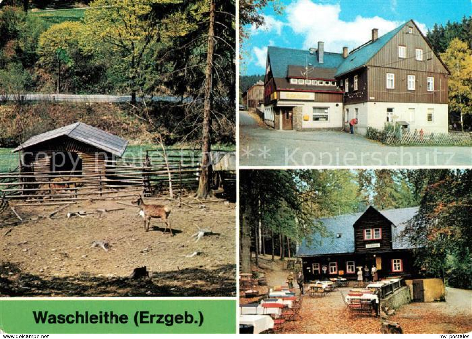 73081563 Waschleithe Tierpark Gaststaette Osterlamm Koehlerhuette Waschleithe - Grünhain