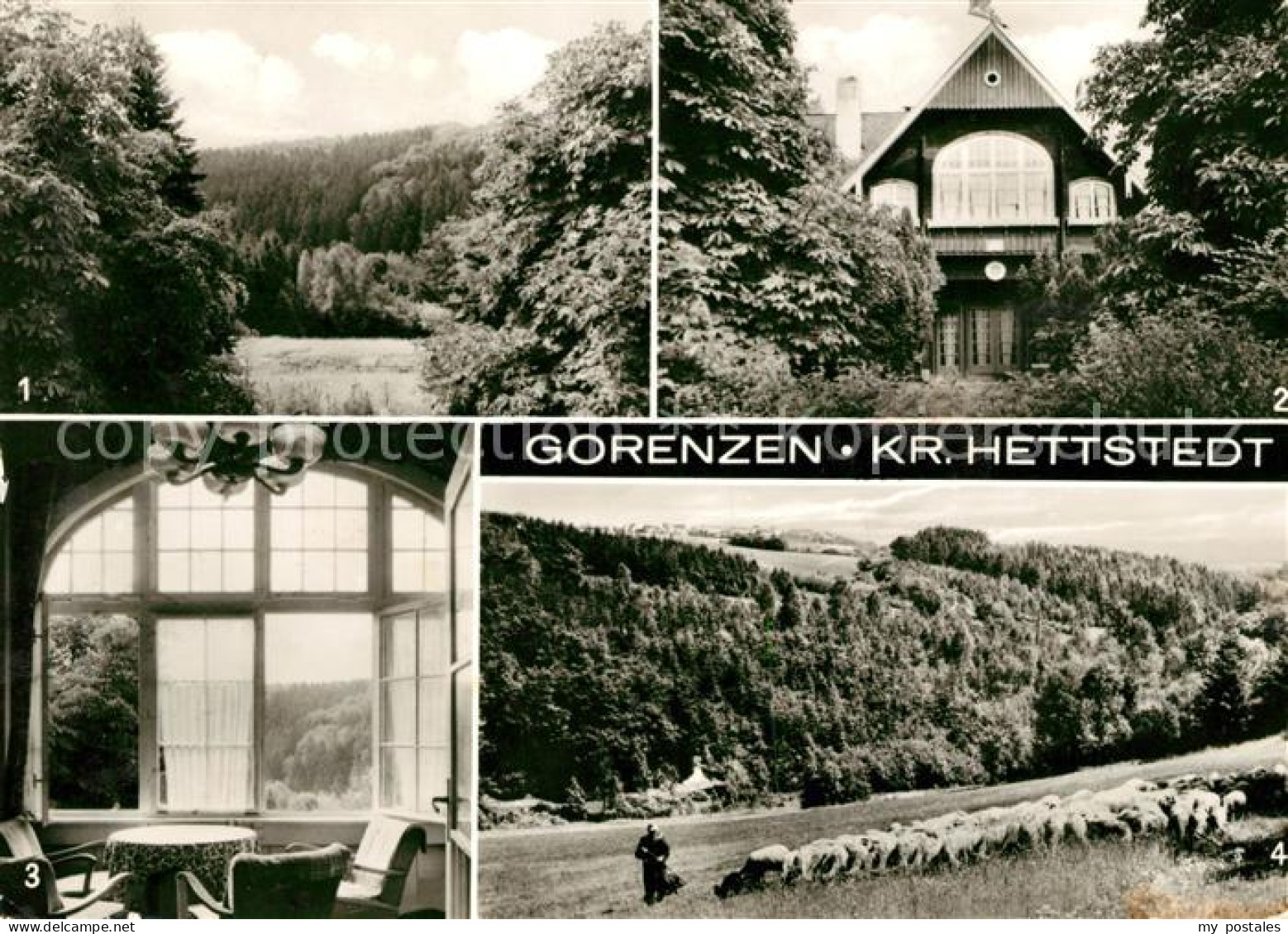 73081147 Gorenzen Hagen Jugendherberge Lustberg Schafherde Landschaftspanorama G - Mansfeld