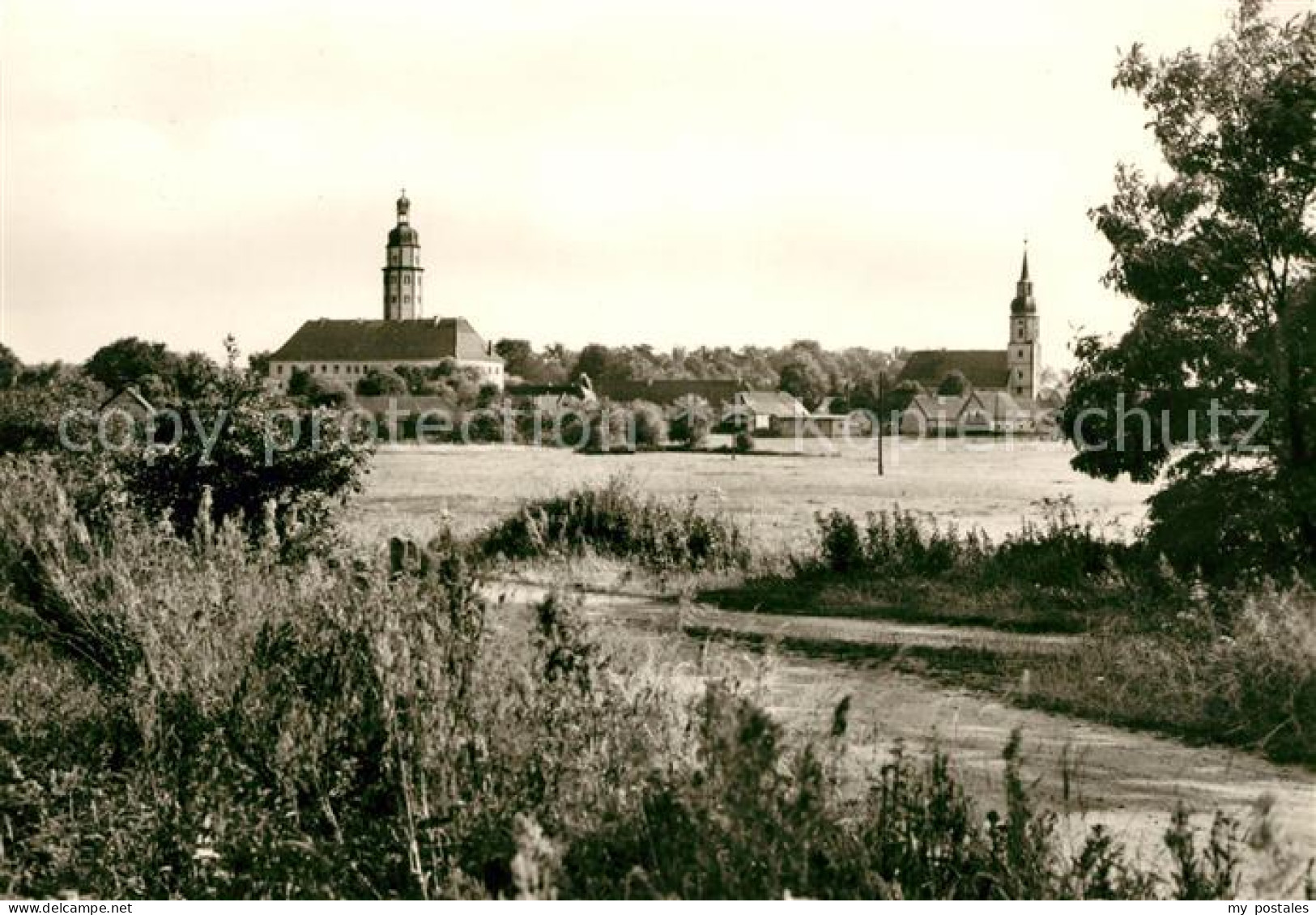 73081112 Reinharz Duebener Heide Blick Ueber Die Wiesen Ortsansicht Mit Kirche R - Bad Schmiedeberg