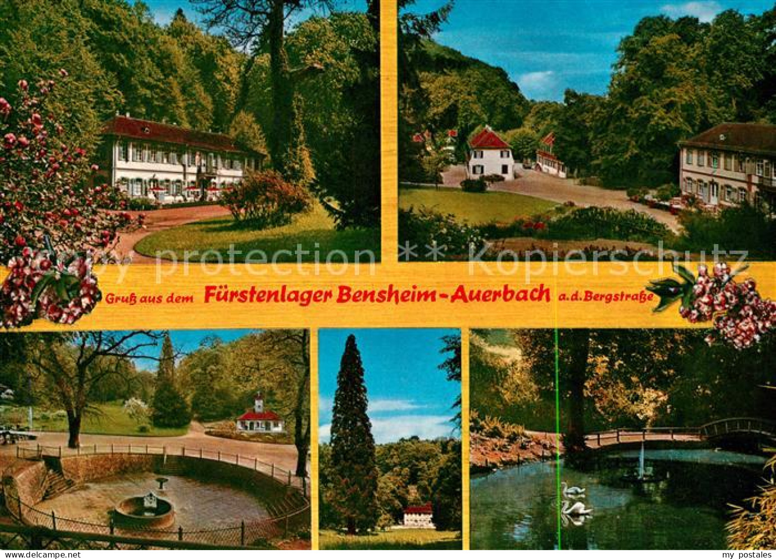 73081099 Auerbach Bergstrasse Fuerstenlager Schwanenteich Auerbach Bergstrasse - Bensheim