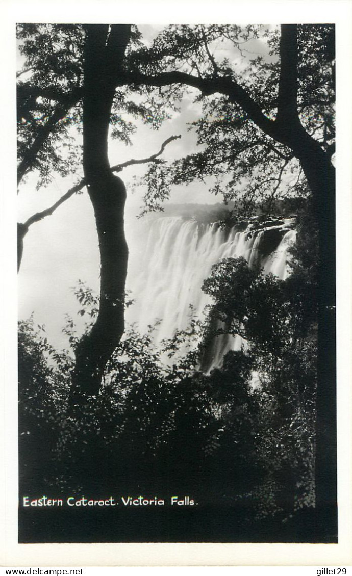 VICTORIA FALLS, ZIMBABWE - EASTERN CATARACT - CANADIAN PACIFIC CRUISE - REAL PHOTO -  ASS. SCREEN NEWS - - Simbabwe