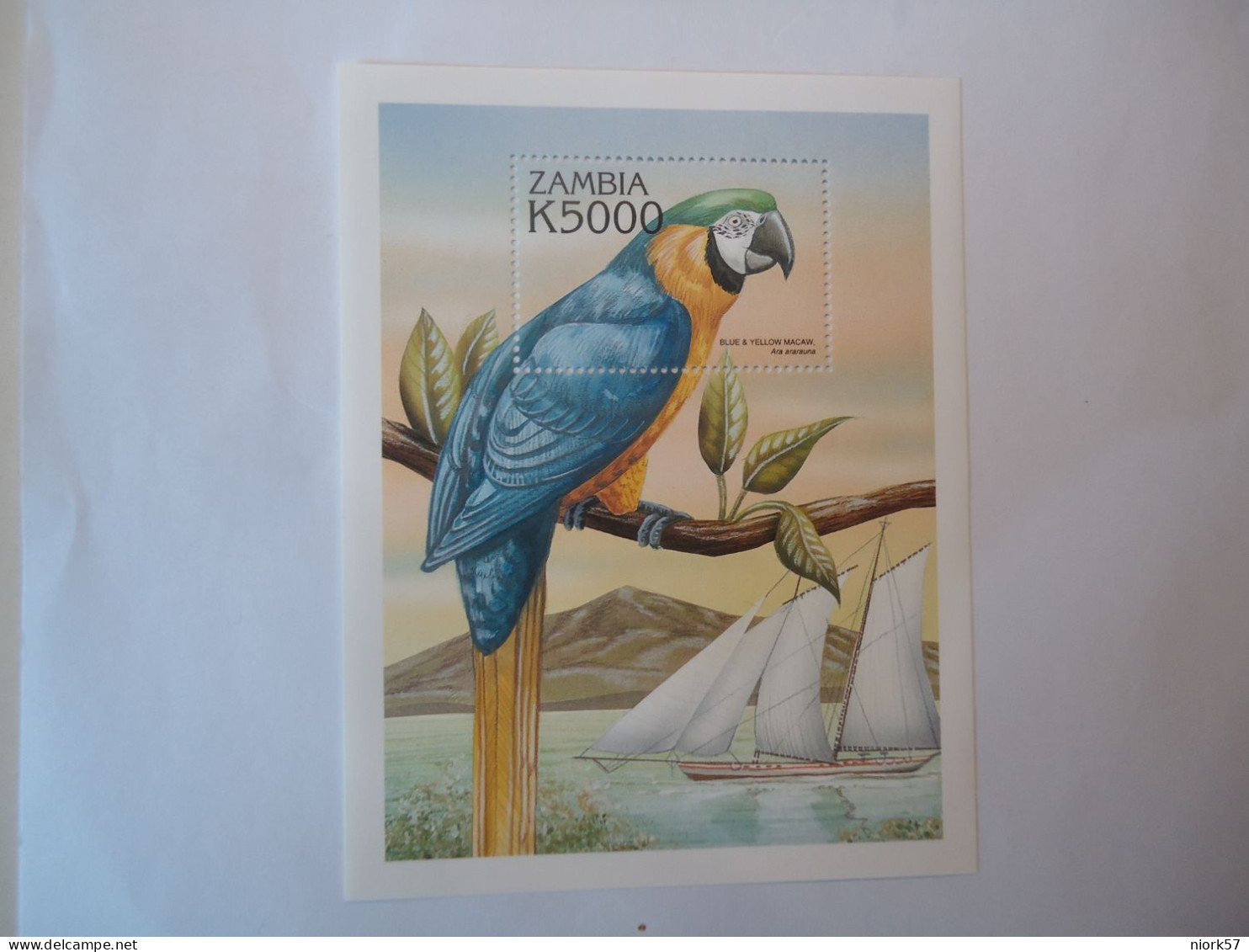 ZAMBIA MNH STAMPS  SHEET BIRDS BIRD PARROTS - Parrots