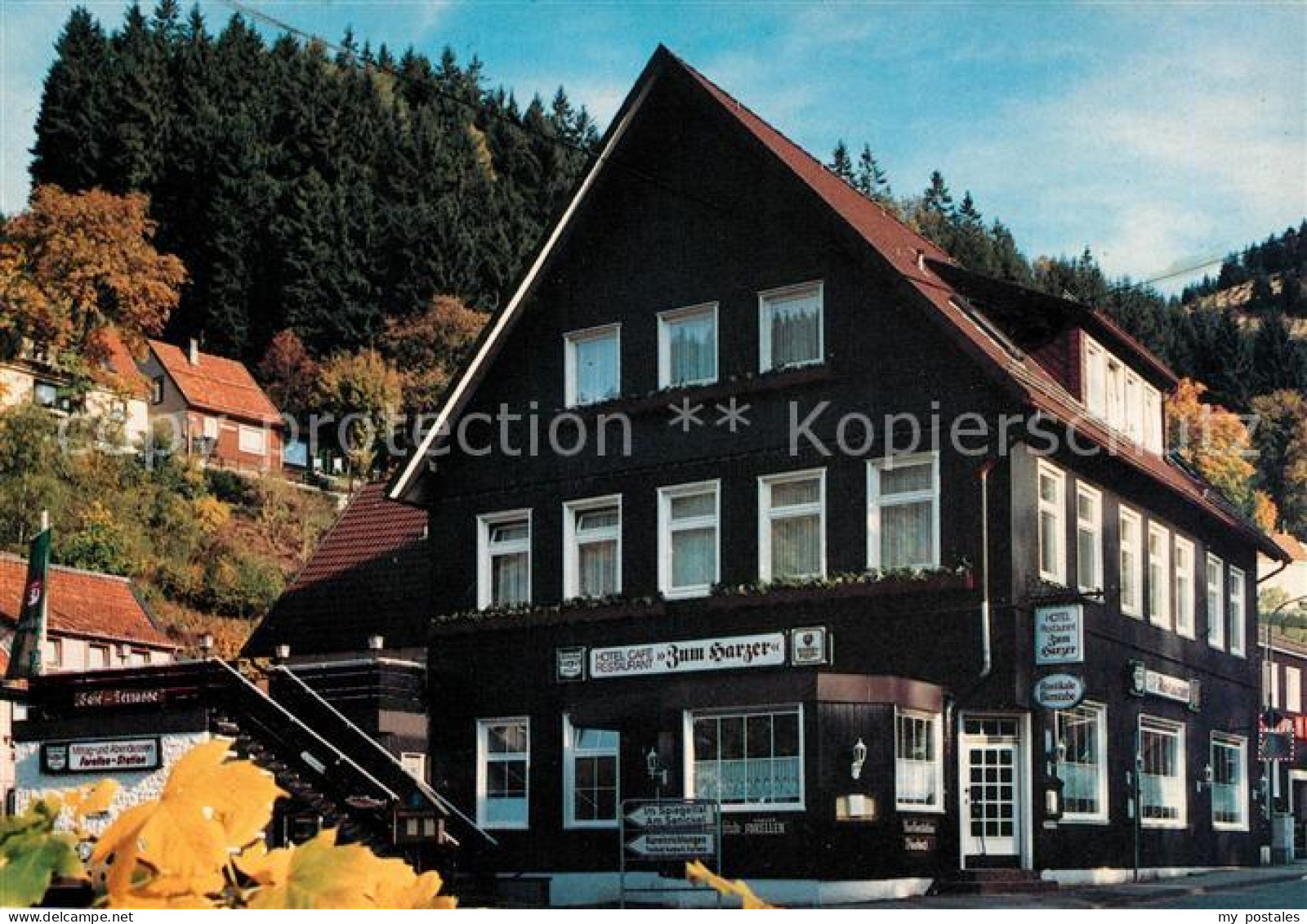 73047488 Wildemann Hotel Restaurant Zum Harzer Cafe Wildemann - Wildemann