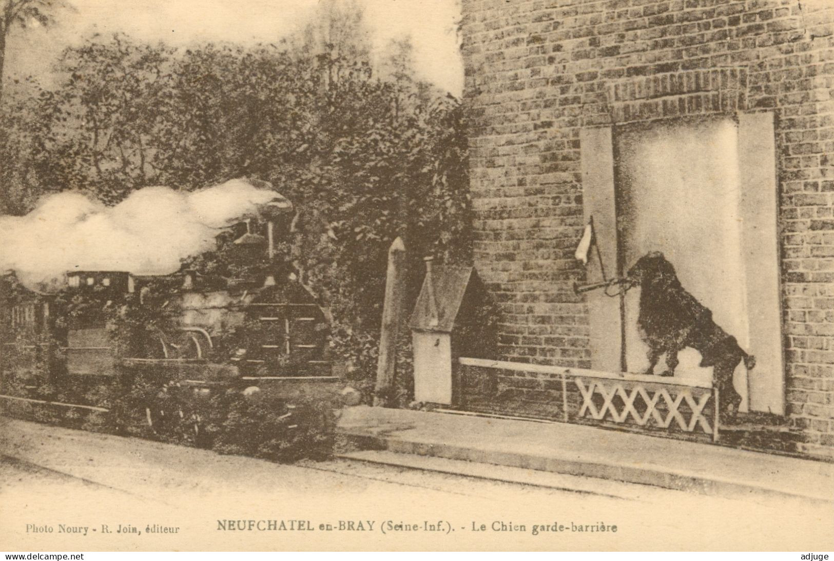 CPA-76- NEUFCHÂTEL-EN-BRAY _ Le Chien Garde-barrière ** 2 Scans - Neufchâtel En Bray