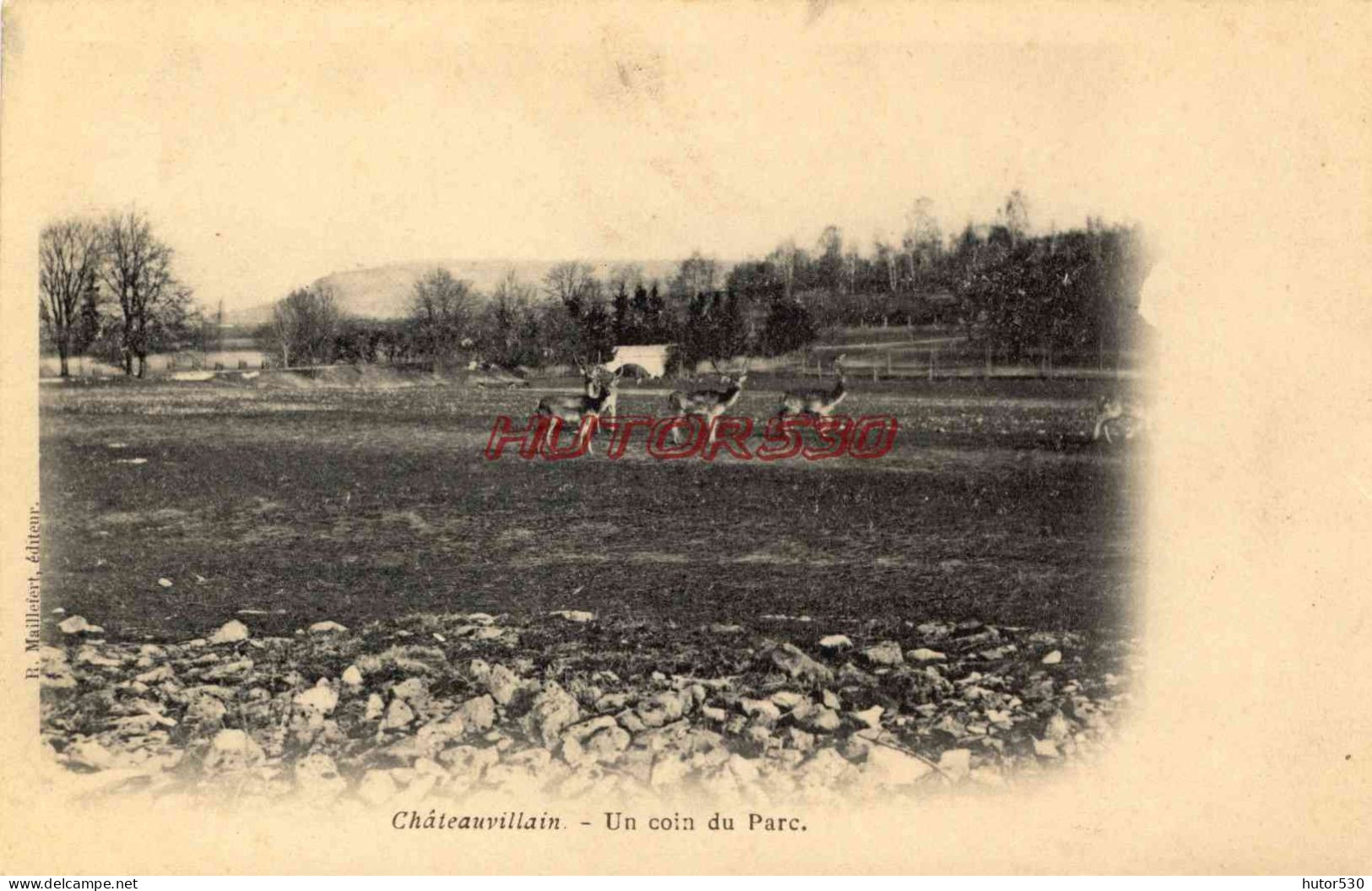 CPA CHATEAUVILLAIN - UN COIN DU PARC - Chateauvillain