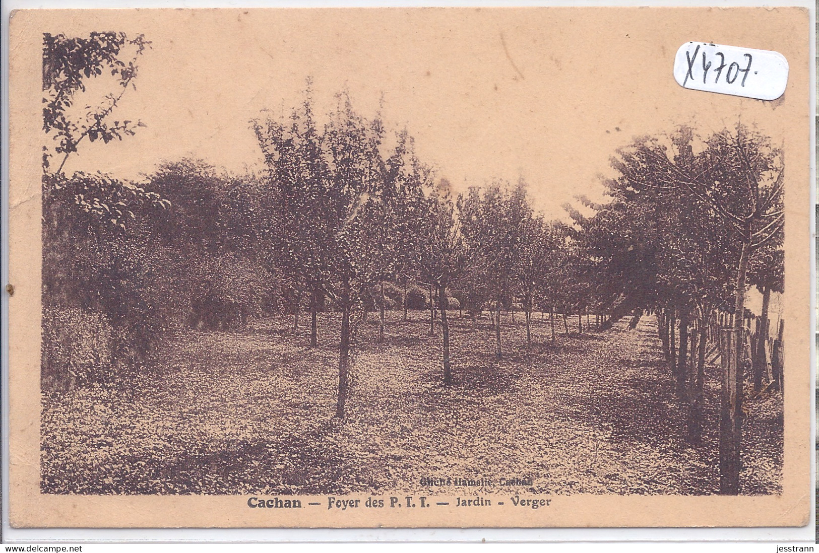 CACHAN- FOYER DES P T T- JARDIN- VERGER - Cachan