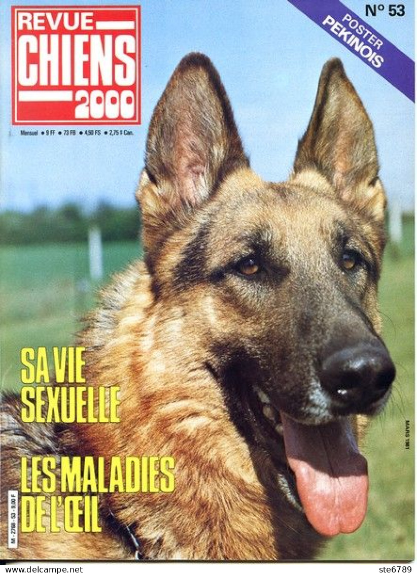 REVUE CHIEN N° 53 De 1981 Animaux Chiens - Animali