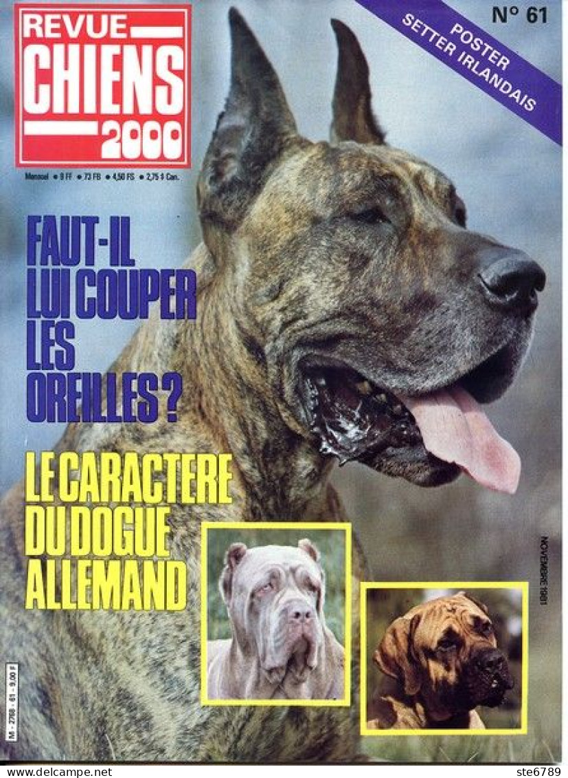 REVUE CHIEN N° 61 De 1981 Animaux Chiens - Animals