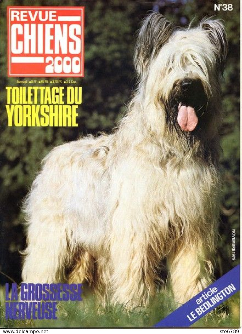 REVUE CHIEN N° 38 De 1979 Animaux Chiens - Animales