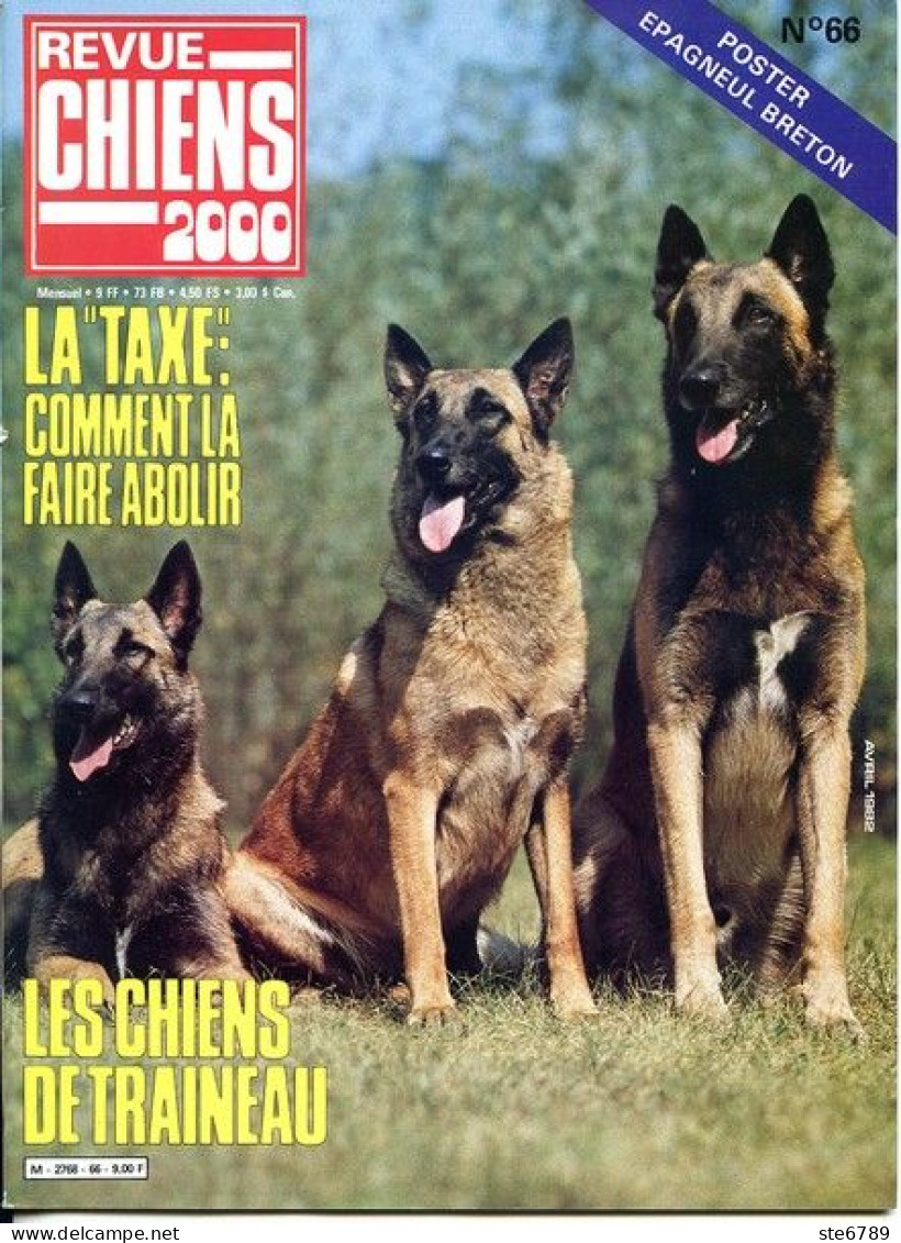 REVUE CHIEN N° 66 De 1982 Animaux Chiens - Animali