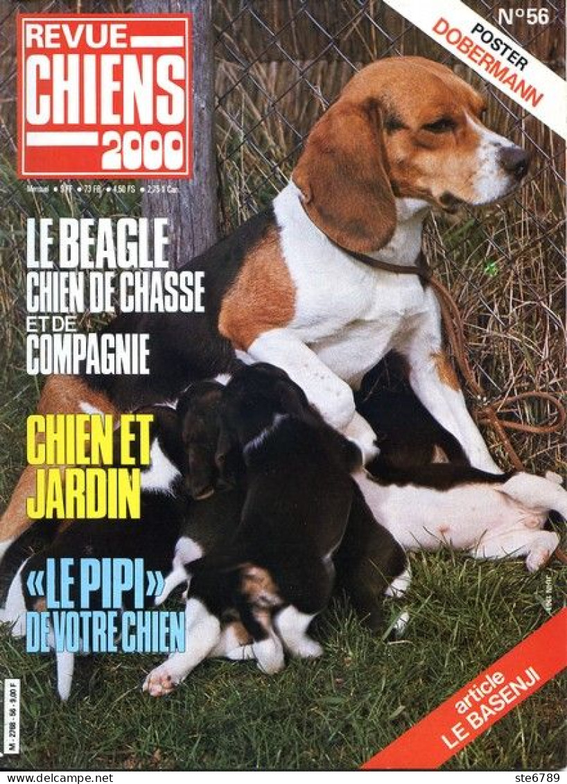 REVUE CHIEN N° 56 De 1981 Animaux Chiens - Tierwelt