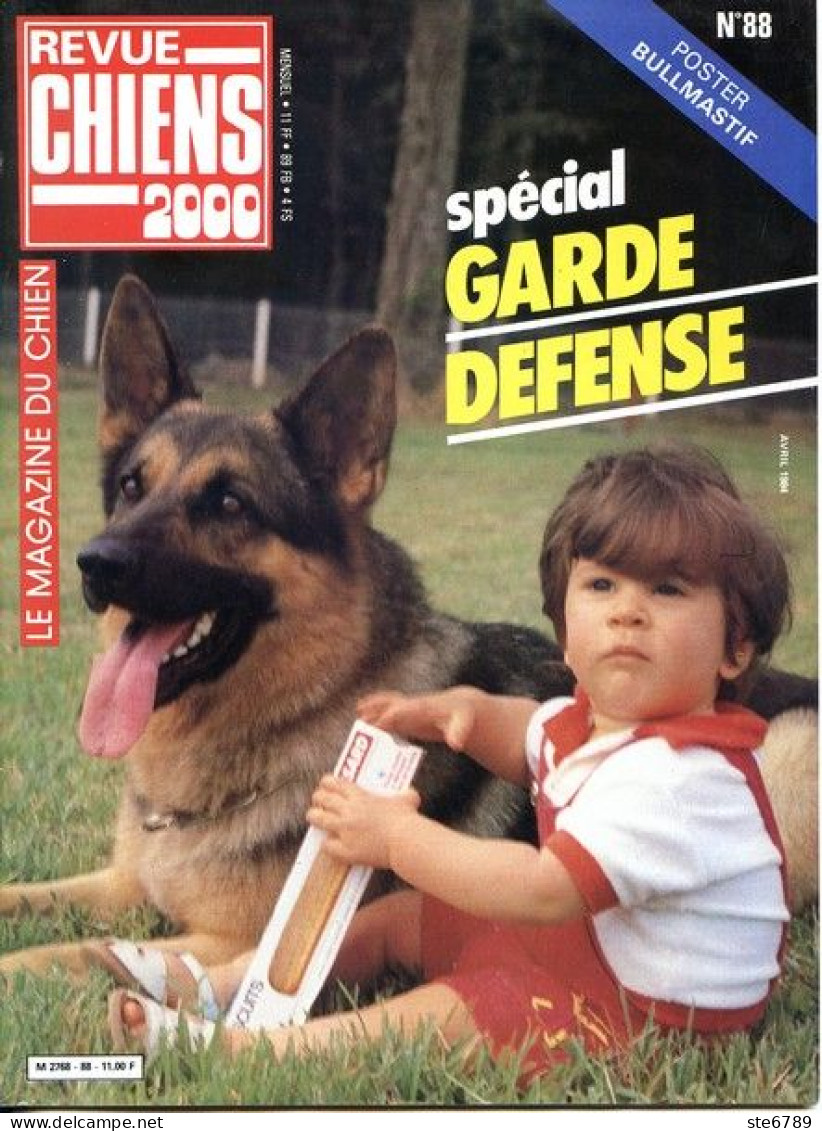 REVUE CHIEN N° 88 De 1984 Animaux Chiens - Animali