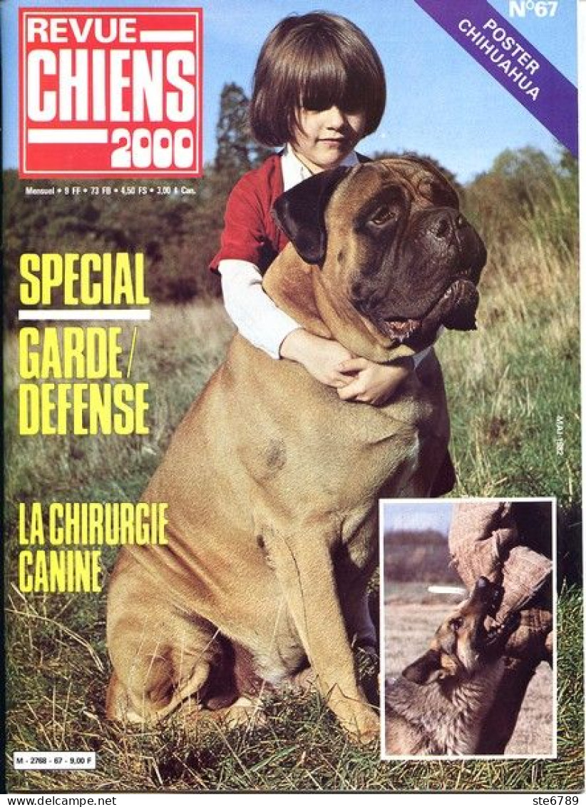 REVUE CHIEN N° 67 De 1982 Animaux Chiens - Tierwelt