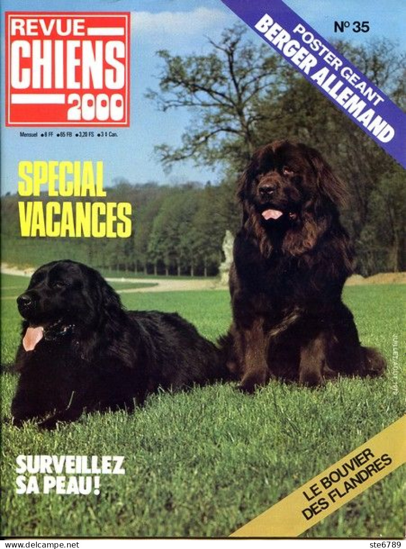 REVUE CHIEN N° 35 De 1979 Animaux Chiens - Animali