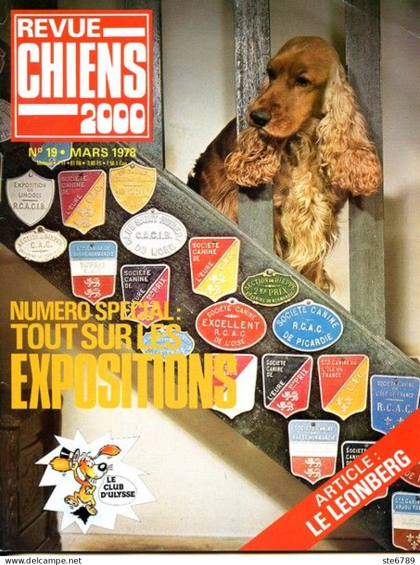REVUE CHIEN N° 19 De 1978 Animaux Chiens - Tierwelt