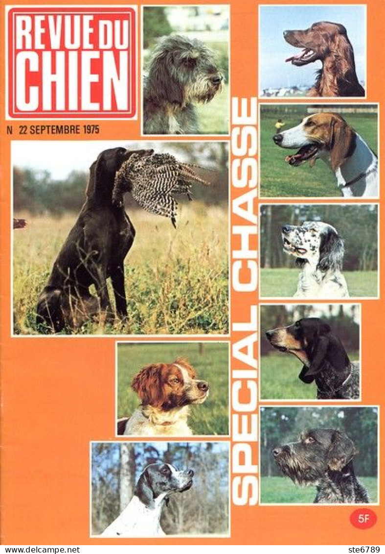 REVUE DU CHIEN  N° 22  De 1975  Animaux Chiens - Animali