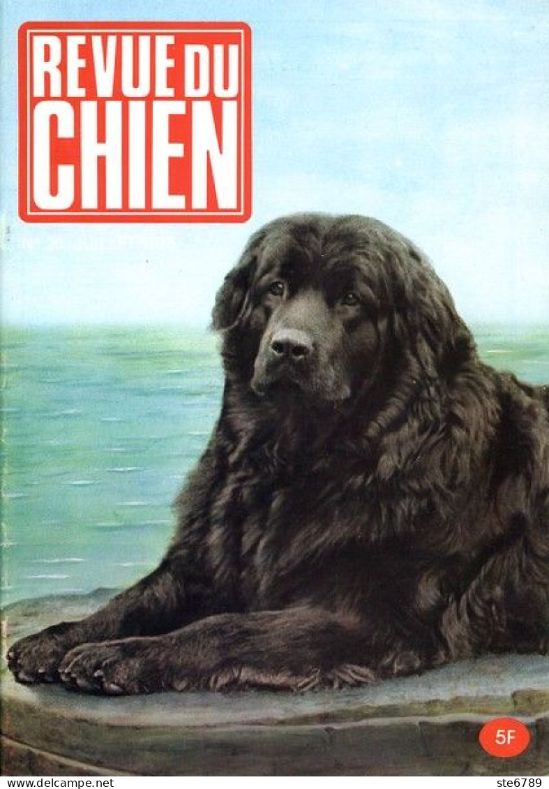 REVUE DU CHIEN  N° 20  De 1975  Animaux Chiens - Animaux