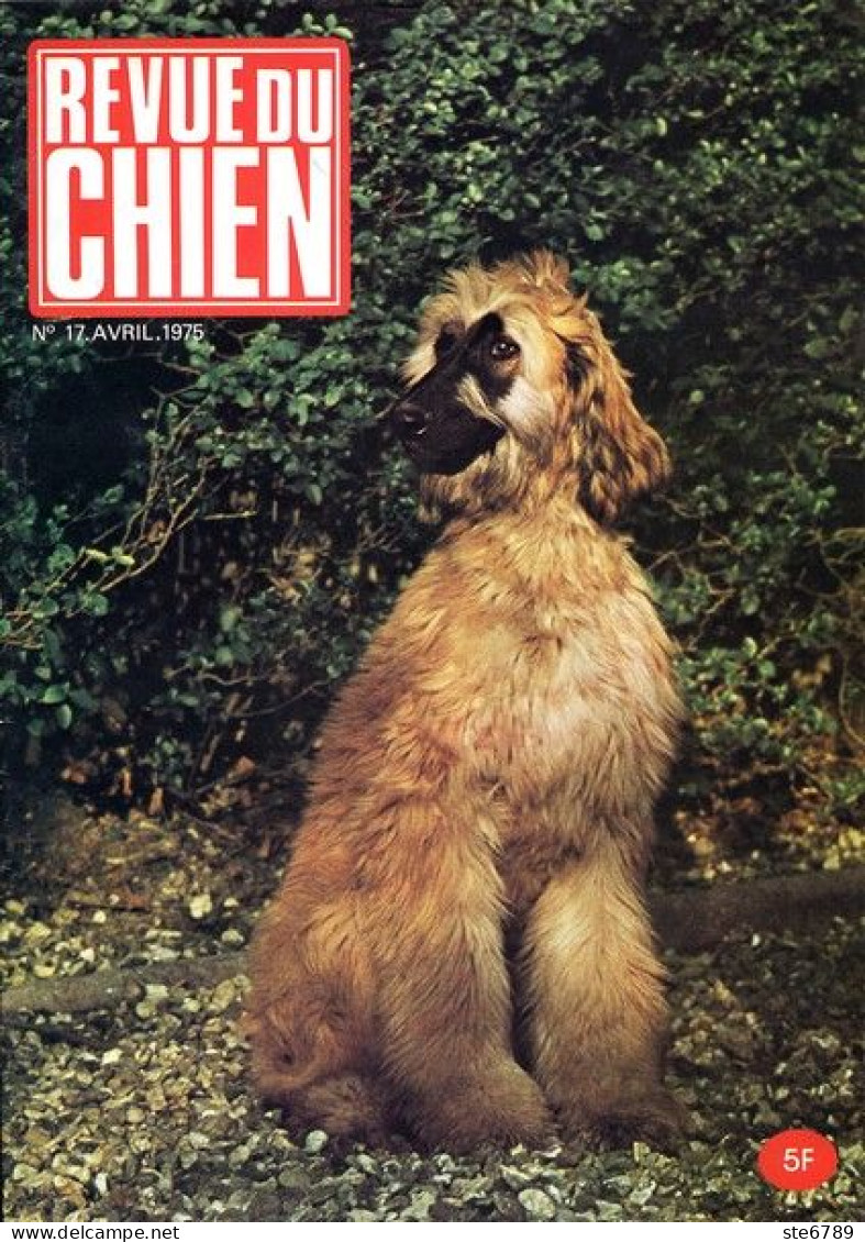 REVUE DU CHIEN  N° 17  De 1975  Animaux Chiens - Animali