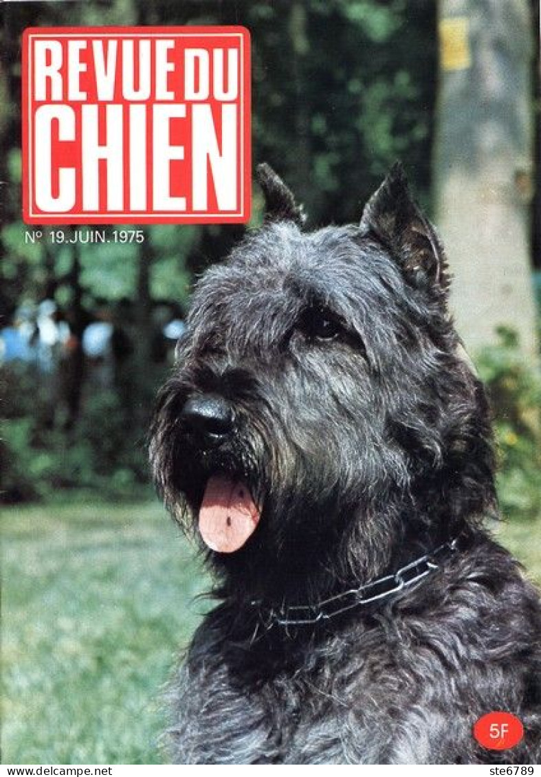 REVUE DU CHIEN  N° 19  De 1975  Animaux Chiens - Tierwelt
