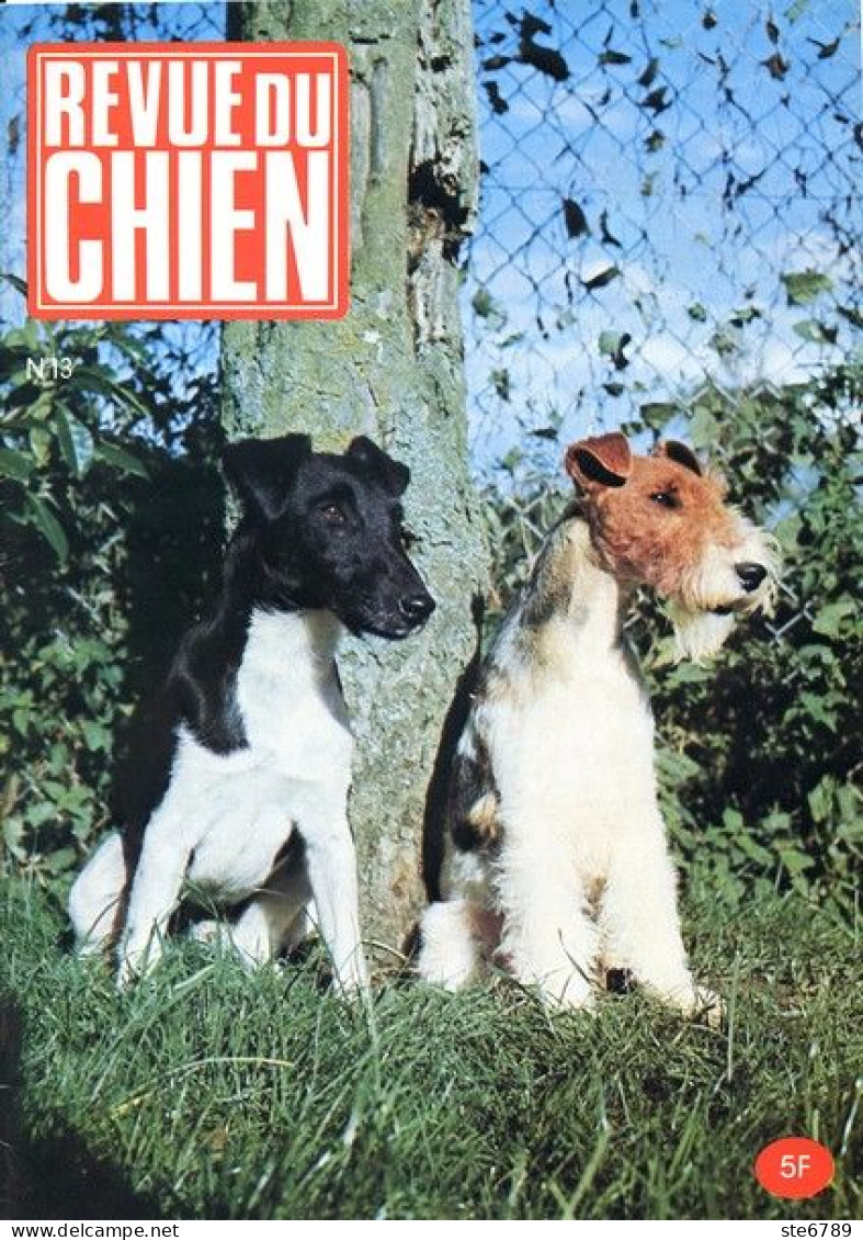 REVUE DU CHIEN  N° 13  De 1974  Animaux Chiens - Animales