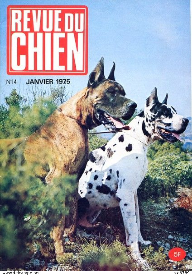 REVUE DU CHIEN  N° 14  De 1975  Animaux Chiens - Dieren
