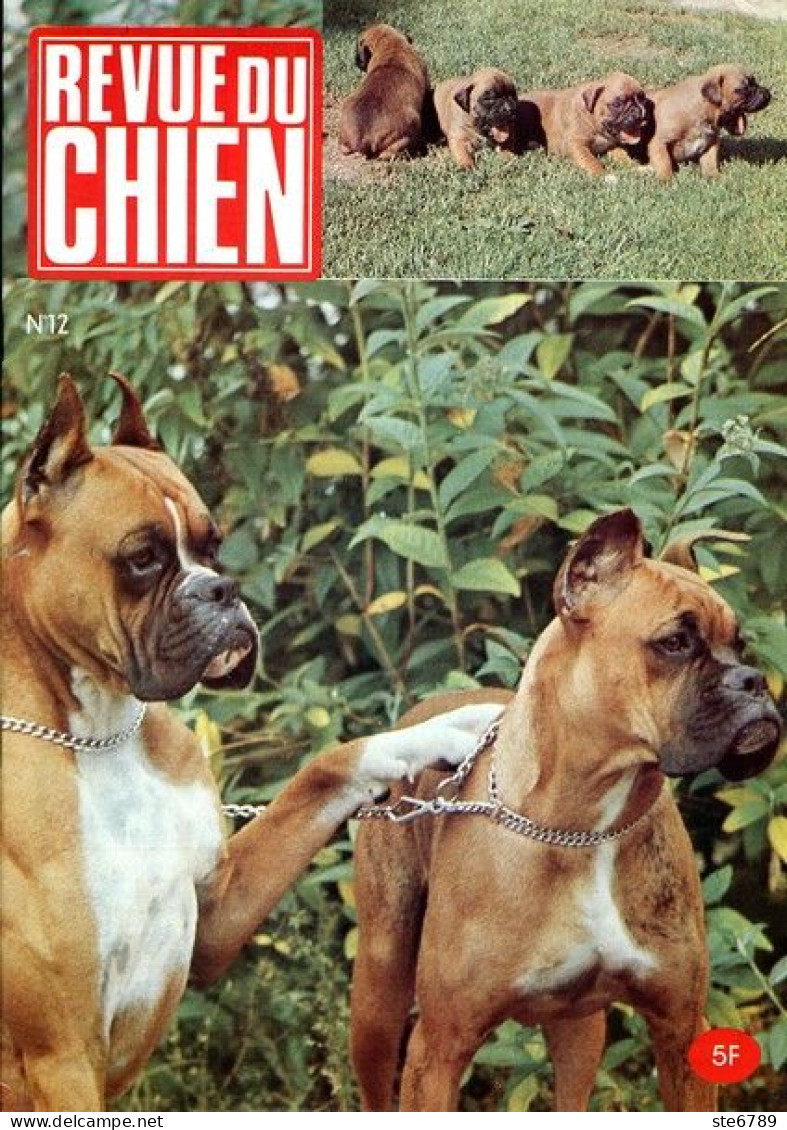 REVUE DU CHIEN  N° 12  De 1974  Animaux Chiens - Tierwelt