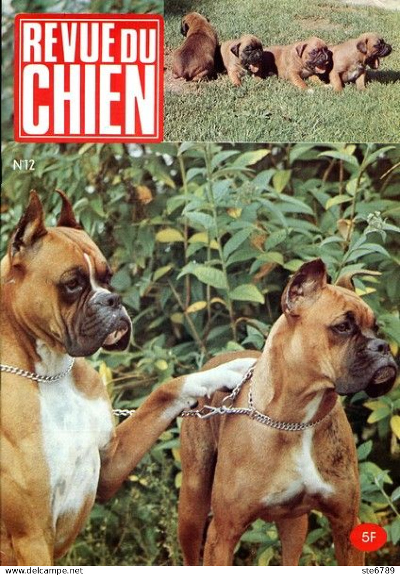 REVUE DU CHIEN  N° 12  De 1974  Animaux Chiens - Animaux