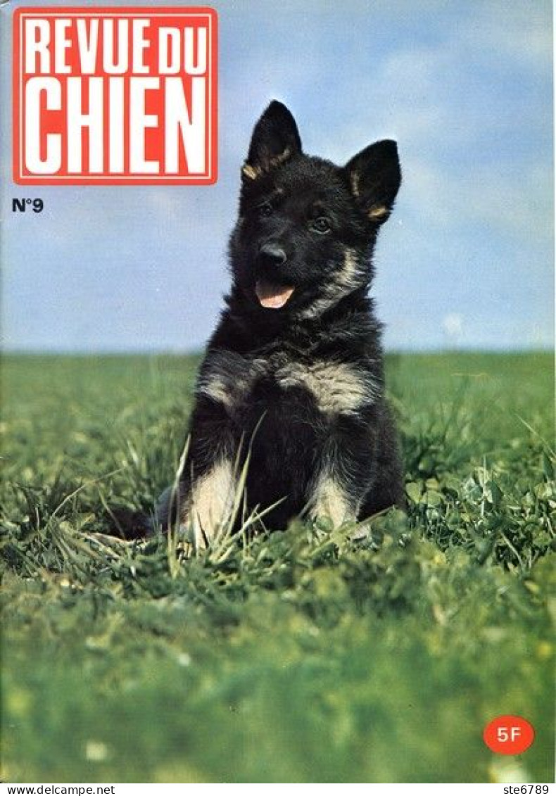 REVUE DU CHIEN  N° 9  De 1974  Animaux Chiens - Animales