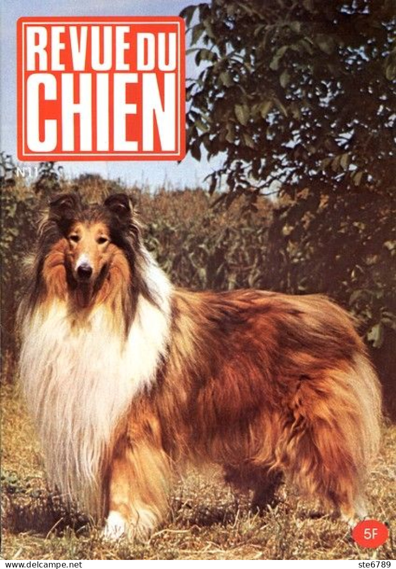 REVUE DU CHIEN  N° 11  De 1974  Animaux Chiens - Tierwelt