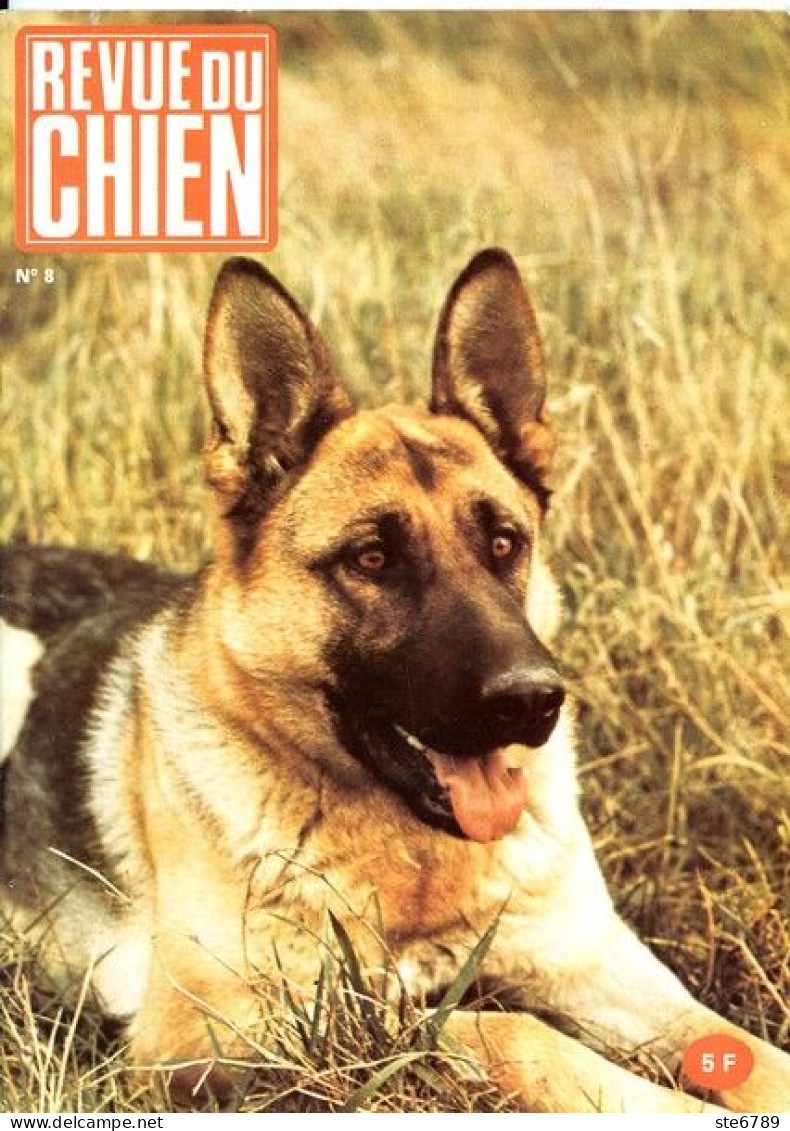 REVUE DU CHIEN  N° 8  De 1974  Animaux Chiens - Animales