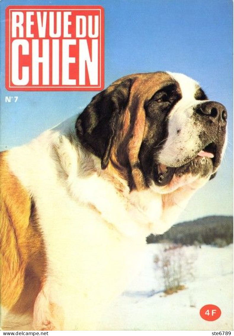 REVUE DU CHIEN  N° 7  De 1974  Animaux Chiens - Animals