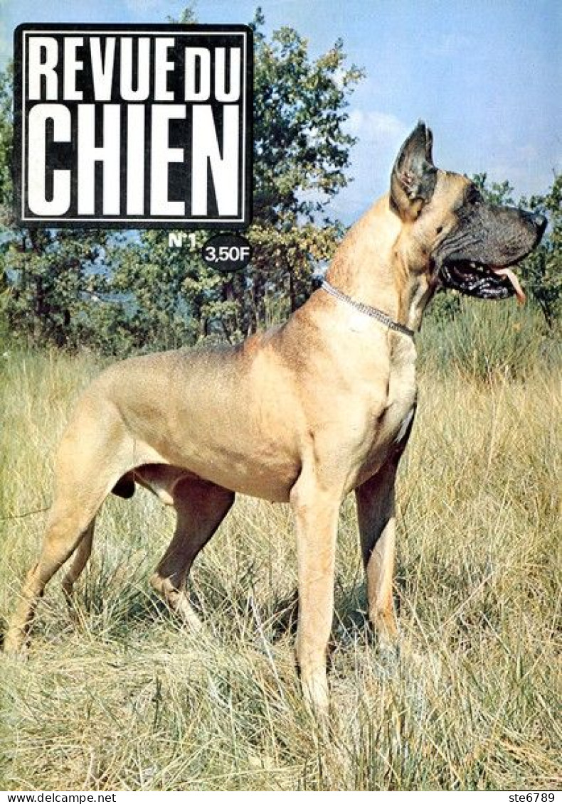 REVUE DU CHIEN  N° 1  De 1973  Animaux Chiens - Animaux