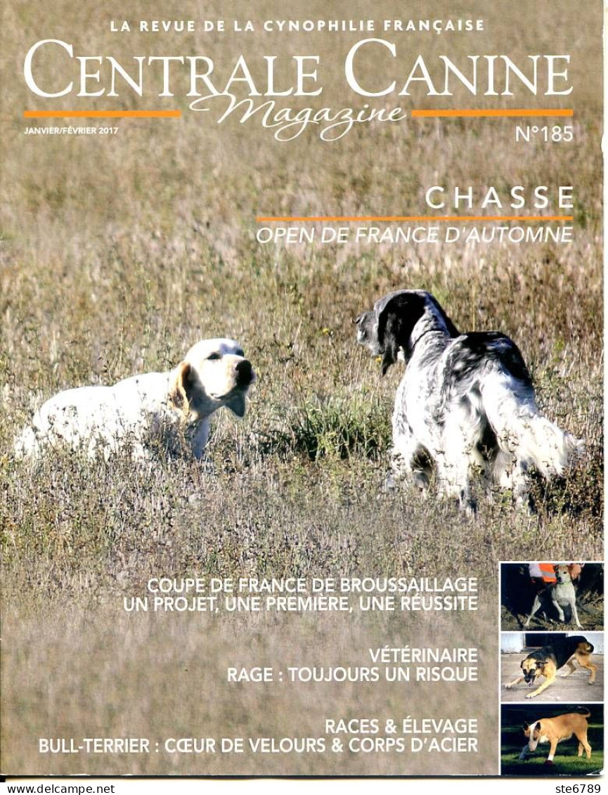 Centrale Canine N° 185 Bull Terrier , Epreuves Chasse BICP  , Revue Cynophilie Francaise Chien - Tierwelt