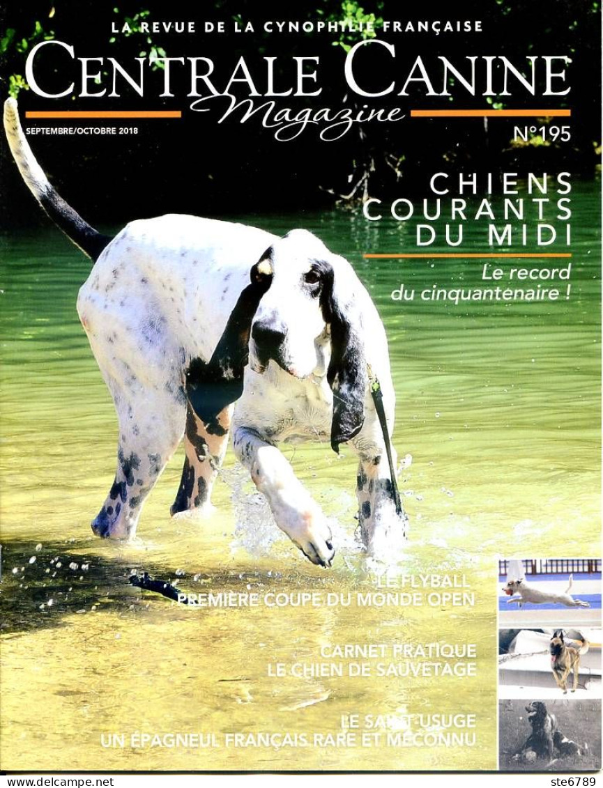 Centrale Canine N° 195 Le Saint Usuge , Flyball , Chien De Sauvetage ,  Revue Cynophilie Francaise Chien - Animales