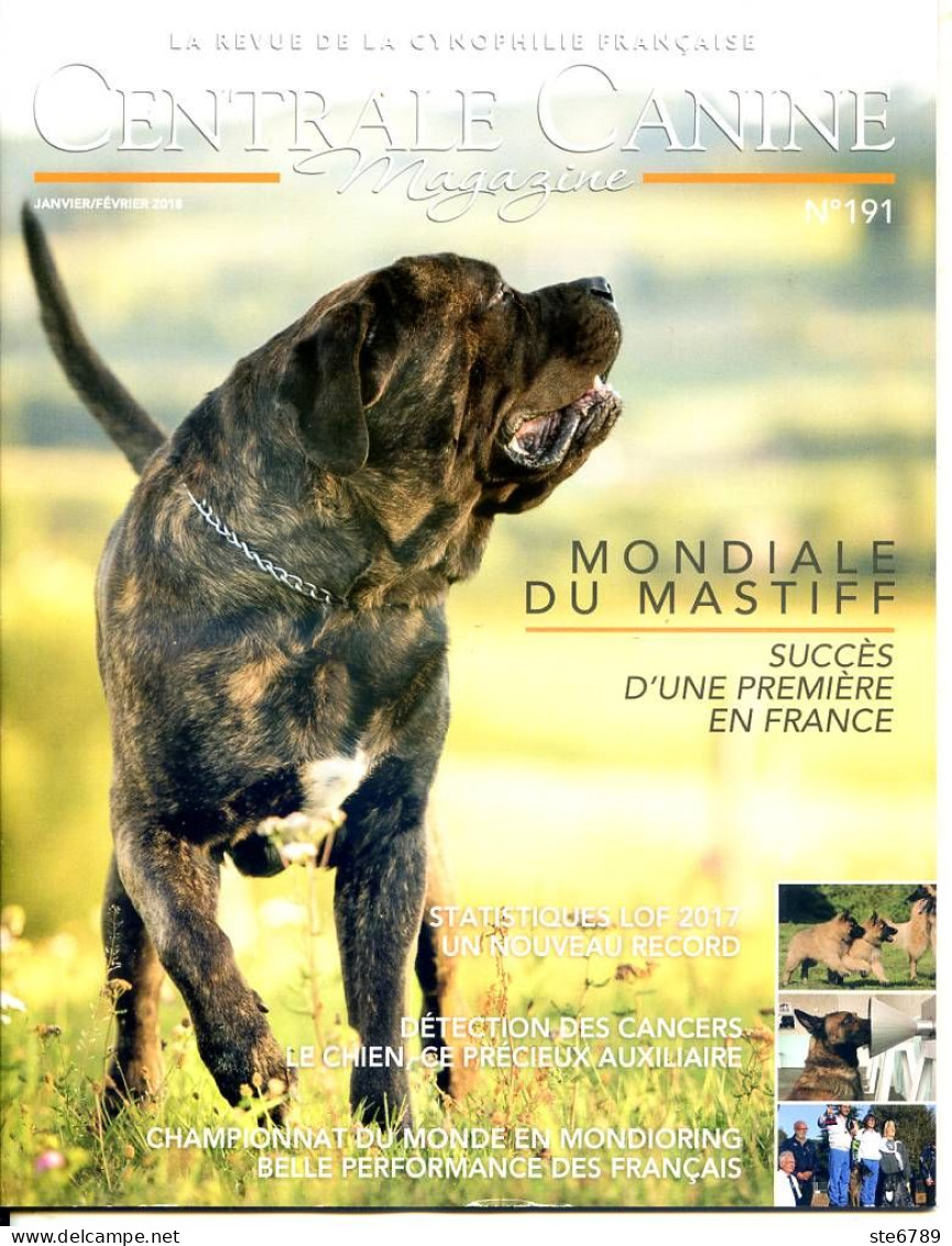 Centrale Canine N° 191 Mondiale Du Mastiff ,  Revue Cynophilie Francaise Chien - Animali