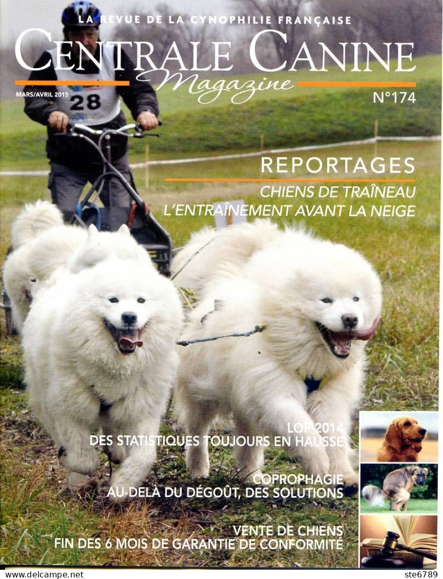 Centrale Canine N° 174  Chiens De Traineau  , LOF 2014  , Revue Cynophilie Francaise Chien - Animaux