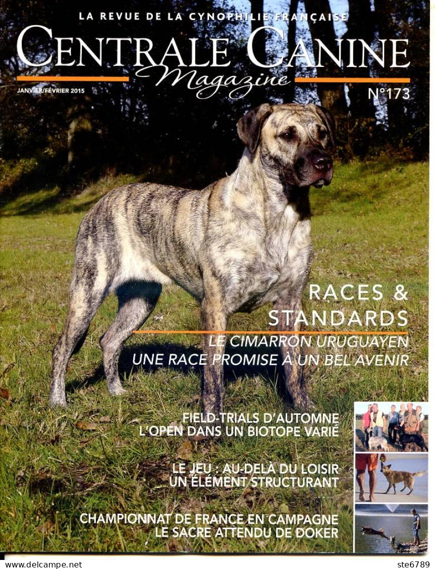 Centrale Canine N° 173  , Revue Cynophilie Francaise Chien - Animales