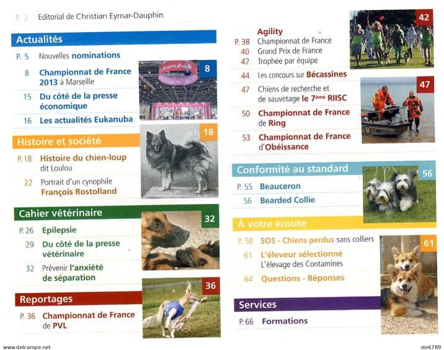 Cynophilie Francaise N° 166 PVL 15 Races Courses ,  Le Loulou , Revue Chien - Animals