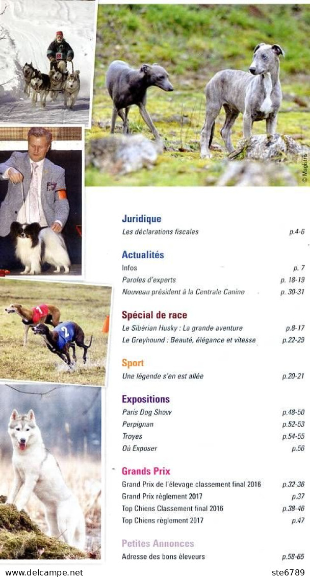 VOS CHIENS Magazine 342 Husky Sibérien , Greyhound , Grands Prix , Expositions Paris Perpignan Troyes - Animales