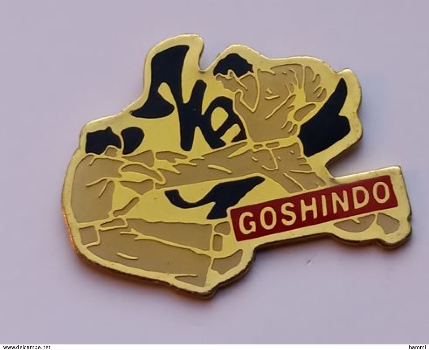 C129 Pin's Judo Karaté Goshindo Evolution Vernier, Suisse Achat Immédiat - Judo