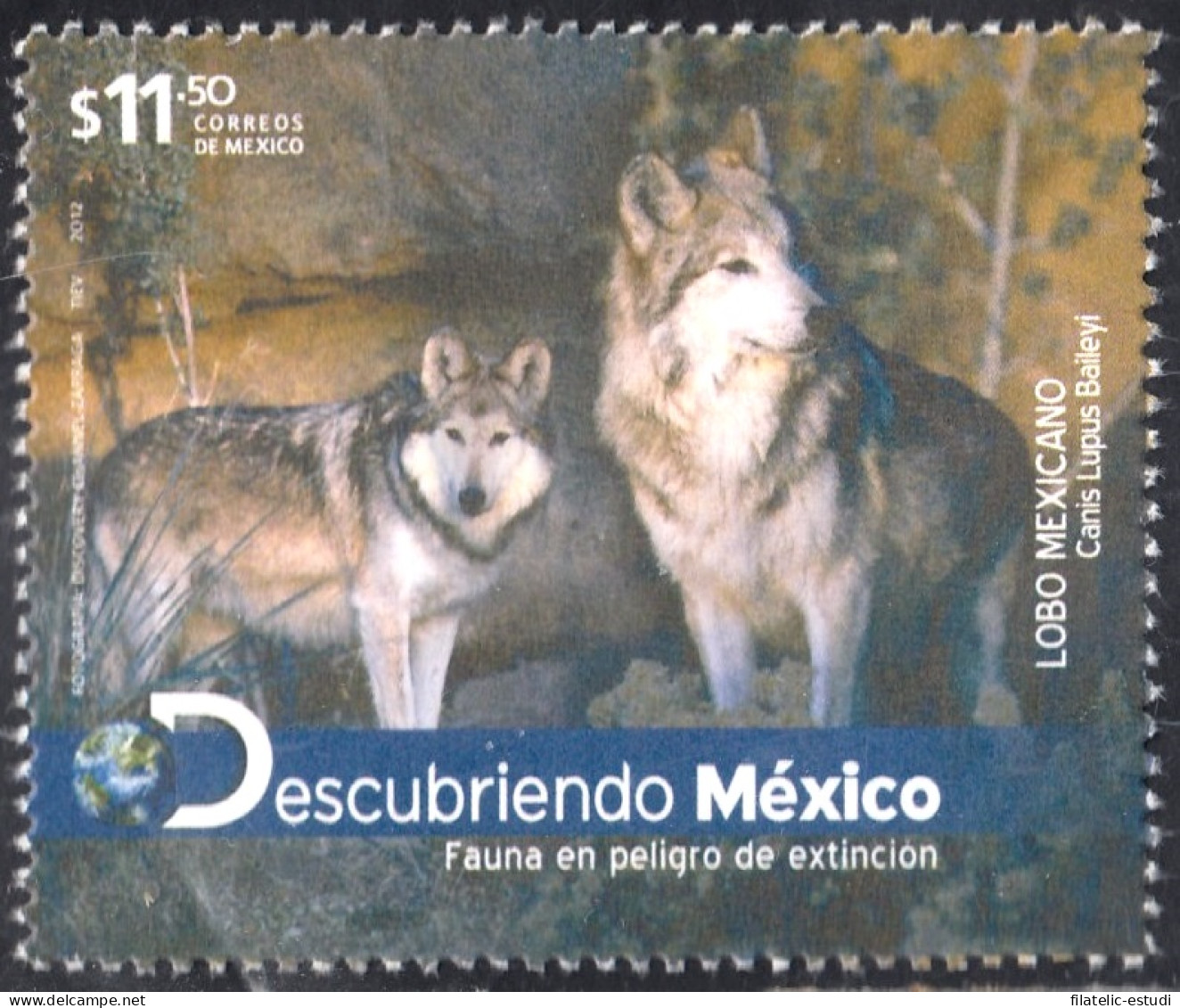 México 2683 2012 Fauna En Peligro De Extinción Lobo Mexicano MNH - Mexico