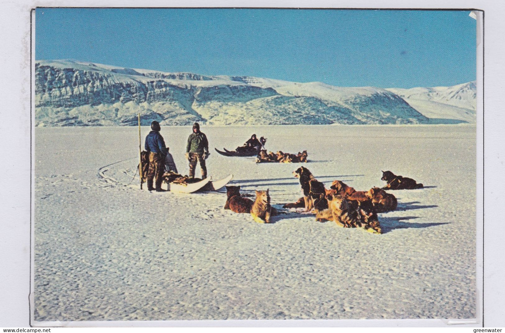 Greenland Postcard "rest During Sledge Ride" Unused (GD150) - Fauna Artica