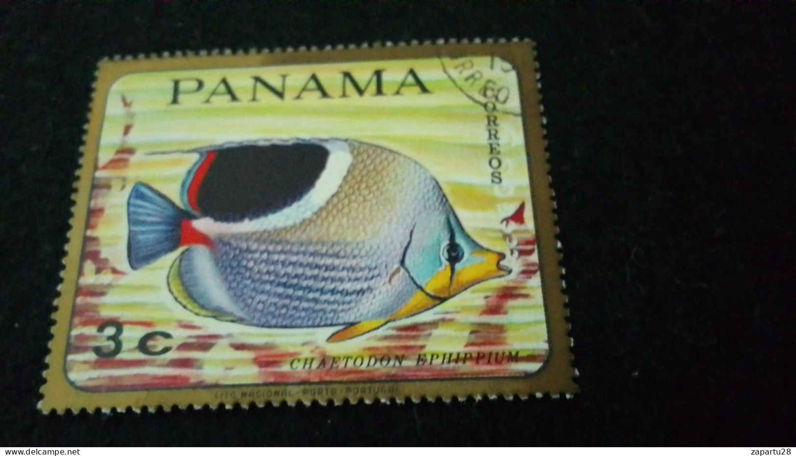 PANAMA-    1980- 1999  3 C      DAMGALI - Panama
