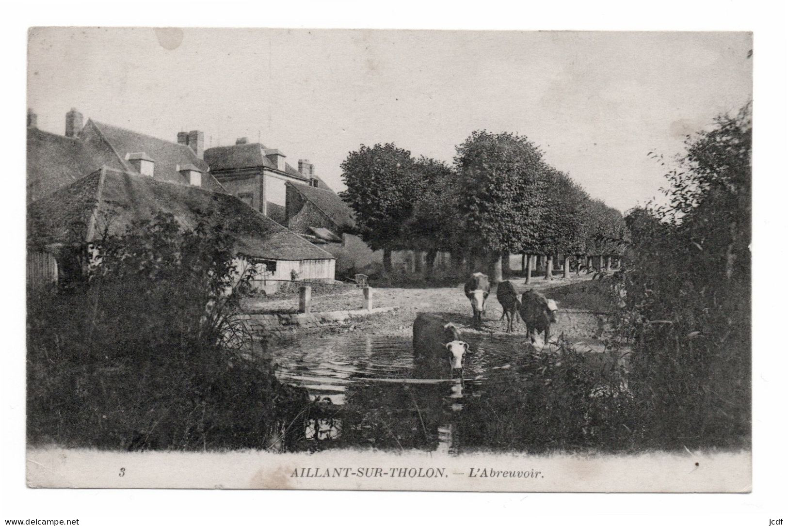 89 AILLANT SUR THOLON - L'Abreuvoir - Série Toulot N° 3 - 1918 - Troupeau De Vaches S'abreuvant - Aillant Sur Tholon
