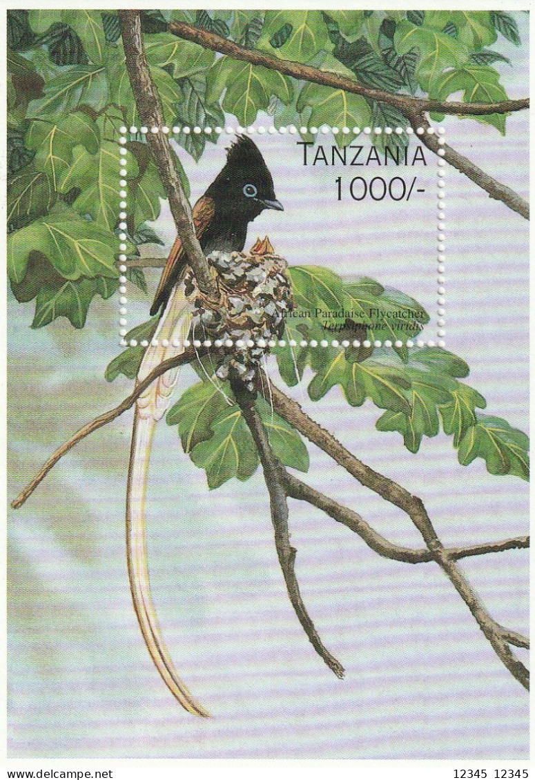 Tanzania 1996, Postfris MNH, Birds - Tanzania (1964-...)